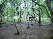 CIMG8106.jpg