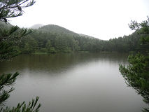 CIMG8177.jpg