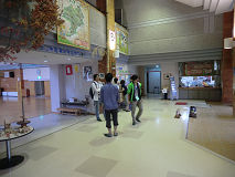 CIMG8184.jpg