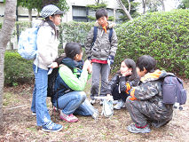IMG_1523.jpg