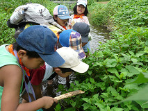 P1140889s.jpg