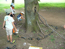 P1270619s.jpg
